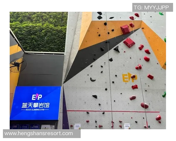 杭州攀岩队耐力训练的挑战与突破探索攀岩运动的极限之美