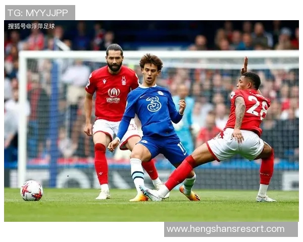 23号当家足球明星的辉煌历程与背后故事揭秘