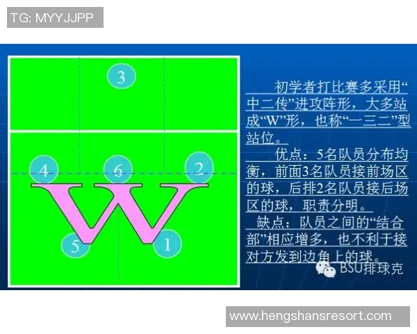 全国锦标赛分析：杭州排球队战术运用与表现深度解读